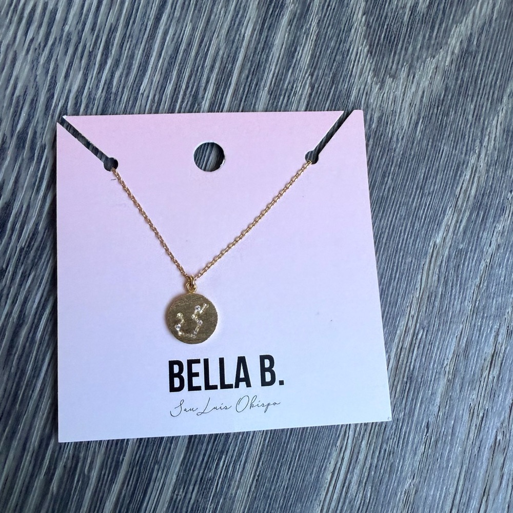 Aquarius Zodiac Coin Constellation Necklace In Gold